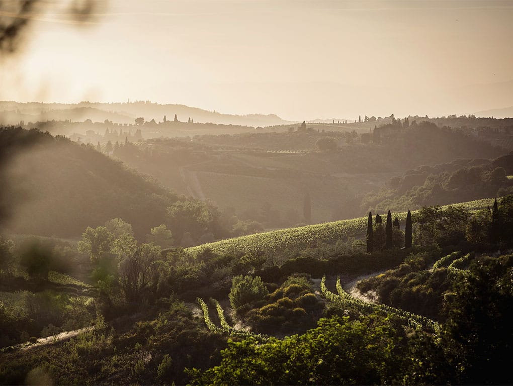 Marchesi Antinori